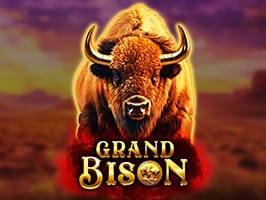 Grand Bison